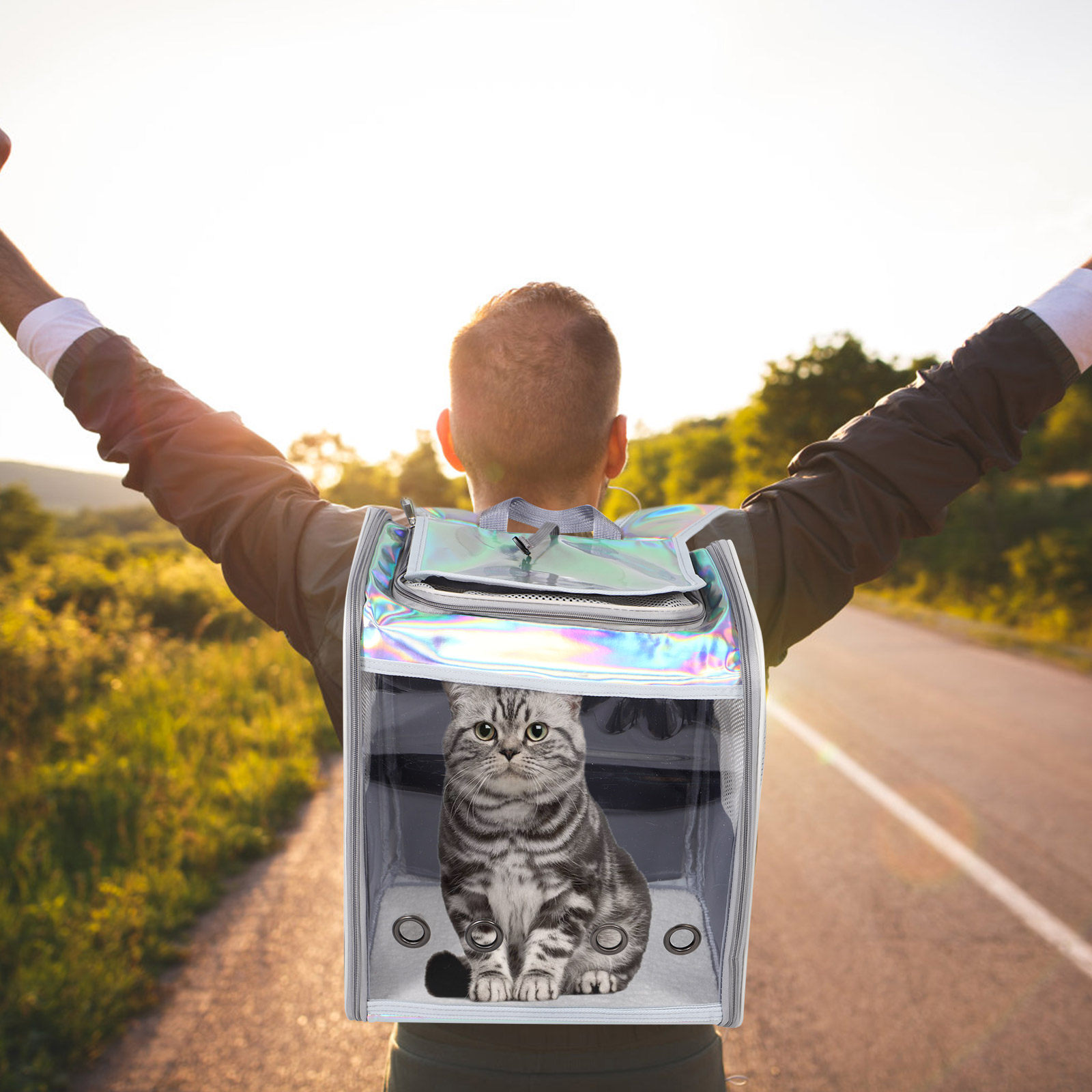 Breathable Mesh Pet Backpack C - đánh giá và giá Foldable Backpack Small